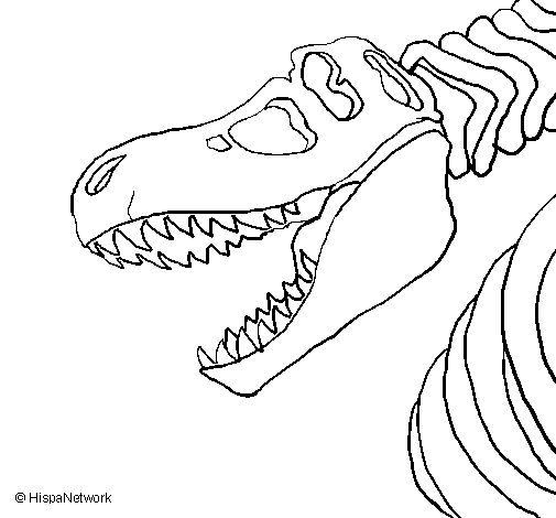 Dibuix de Esquelet tiranosauri rex per Pintar on-line