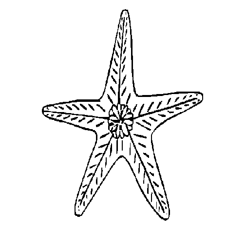 Dibuix de Estrella de mar per Pintar on-line