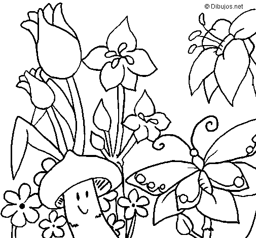 Dibuix de Fauna i flora per Pintar on-line