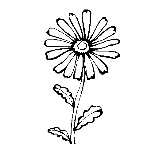 Dibuix de Flor de Camp per Pintar on-line