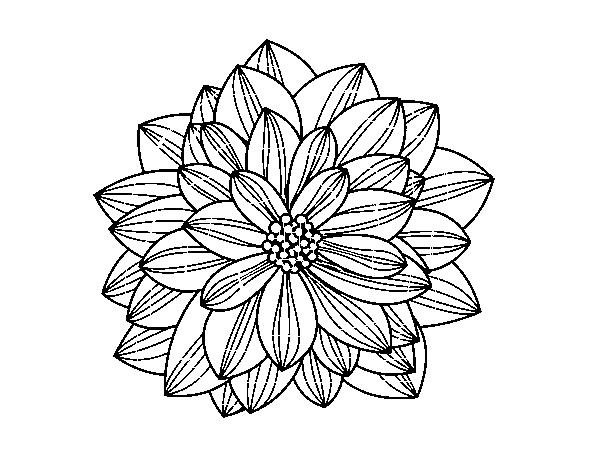 Dibuix de Flor de dàlia per Pintar on-line