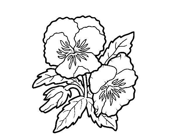 Dibuix de Flor de prensament per Pintar on-line
