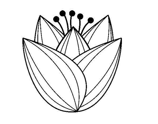 Dibuix de Flor de tulipa per Pintar on-line