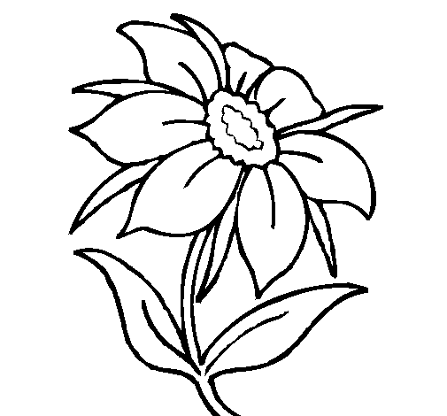 Dibuix de Flor silvestre per Pintar on-line