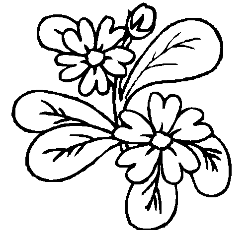 Dibuix de Flors 4a per Pintar on-line