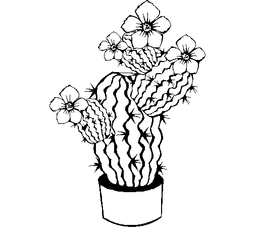 Dibuix de Flors de cactus per Pintar on-line
