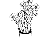 Dibuix de Flors de cactus per pintar