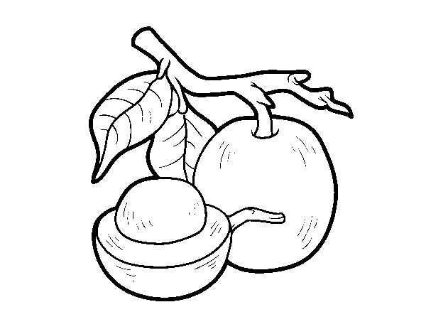 Dibuix de Fruita exòtica ximènia per Pintar on-line