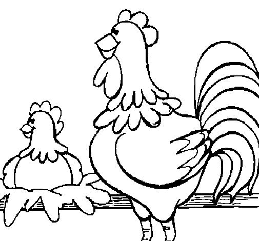 Dibuix de Gall i gallina per Pintar on-line