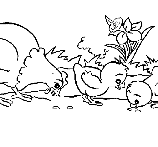 Dibuix de Gallina i pollets per Pintar on-line