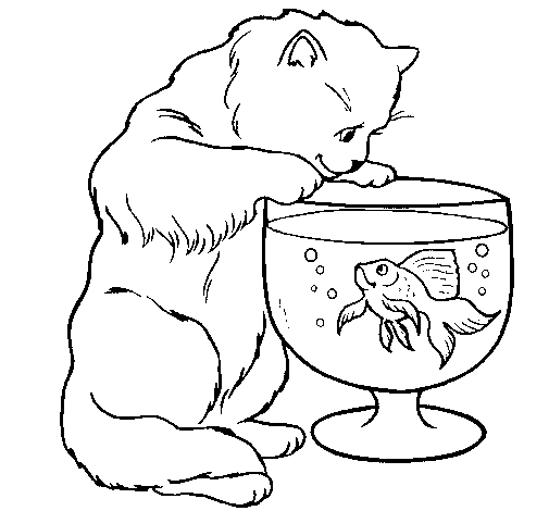 Dibuix de Gat mirant al peix  per Pintar on-line