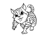 Dibuix de Gat salvatge euroasiàtic per pintar