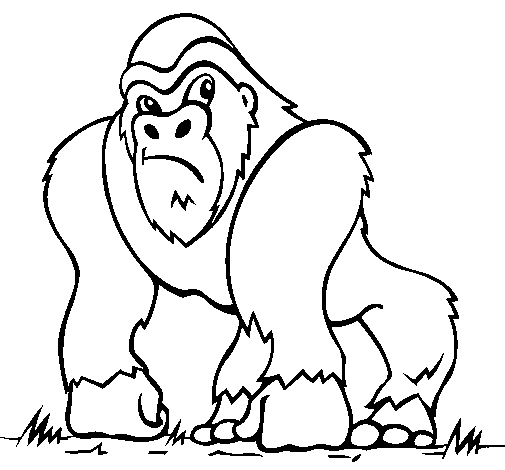 Dibuix de Goril·la per Pintar on-line
