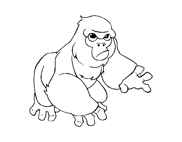 Dibuix de Goril·la de muntanya per Pintar on-line