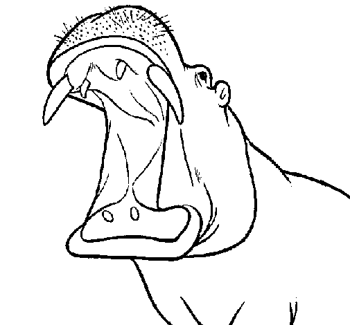 Dibuix de Hipopòtam amb la boca oberta per Pintar on-line