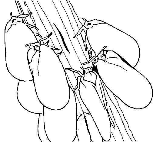 Dibuix de Insectes en un tronc  per Pintar on-line