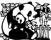Dibuix de Mare Panda per pintar