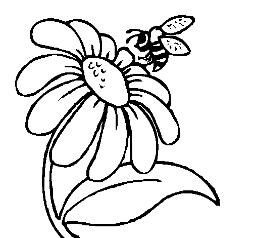 Dibuix de Margarida amb abella per Pintar on-line