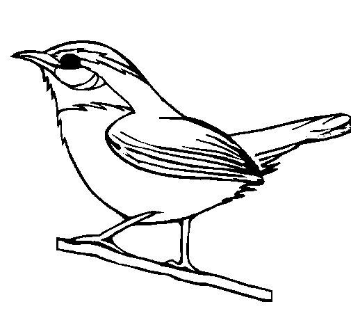 Dibuix de Ocell silvestre  per Pintar on-line