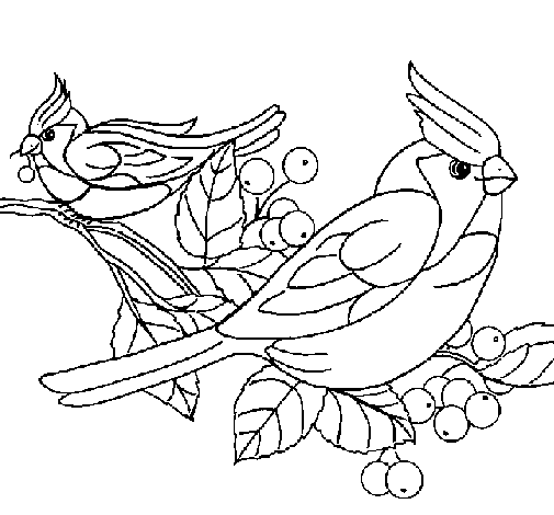 Dibuix de Ocells per Pintar on-line