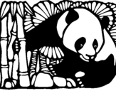 Dibuix de Ós Panda i Bambú per pintar