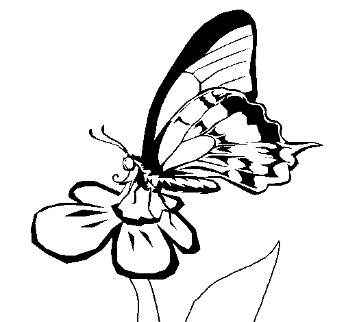 Dibuix de Papallona en una flor  per Pintar on-line