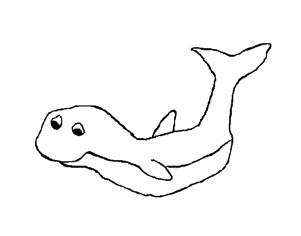 Dibuix de Petita balena per Pintar on-line