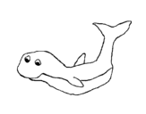 Dibuix de Petita balena per pintar