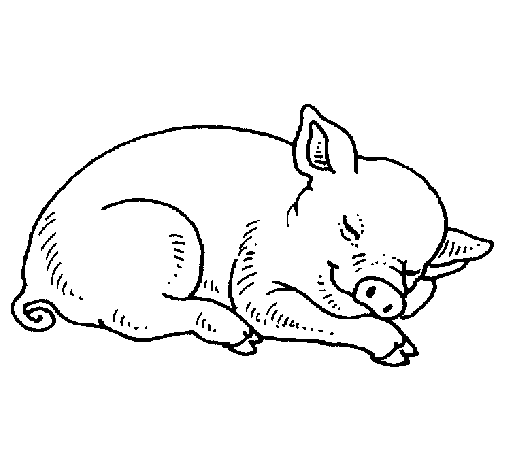 Dibuix de Porc dormint per Pintar on-line