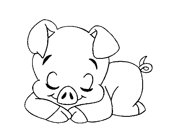 Dibuix de Porc nadó durmint per Pintar on-line