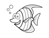 Dibuix de Pterophyllum scalare per pintar