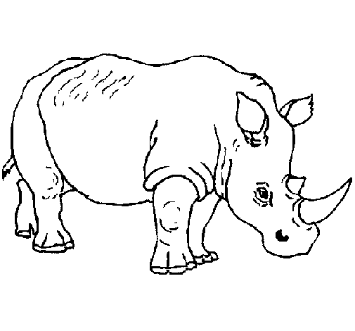 Dibuix de Rinoceront 3 per Pintar on-line