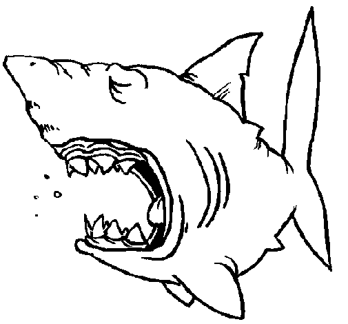 Dibuix de Tiburón per Pintar on-line