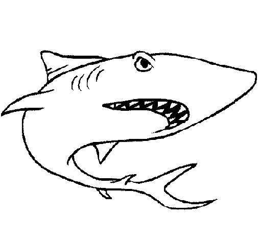 Dibuix de Tiburón per Pintar on-line