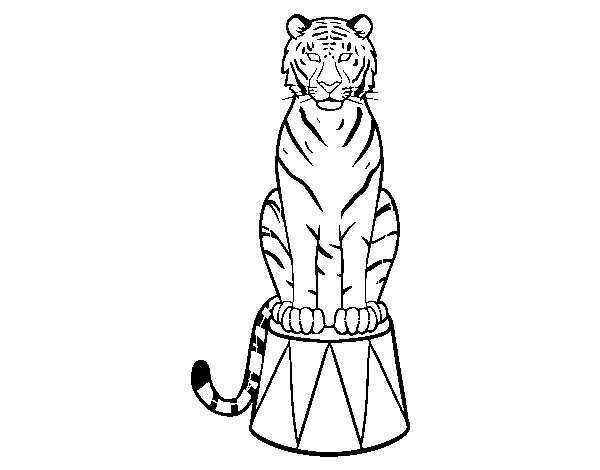 Dibuix de Tigre de circ per Pintar on-line