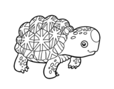 Dibujo de Tortuga estelada de l'Índia