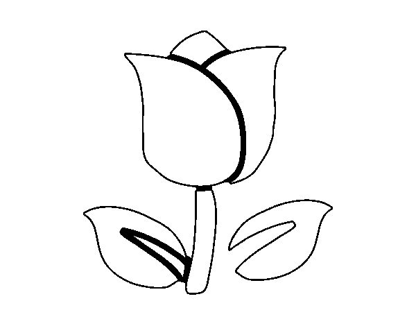 Dibuix de Tulipa per Pintar on-line