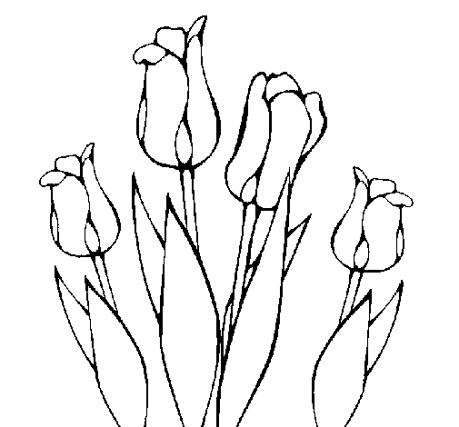 Dibuix de Tulipes per Pintar on-line