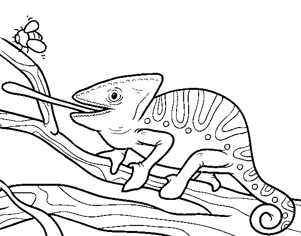 Dibuix de Un camaleó amb la llengua fora per Pintar on-line