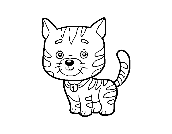 Dibuix de Un gat domèstic per Pintar on-line