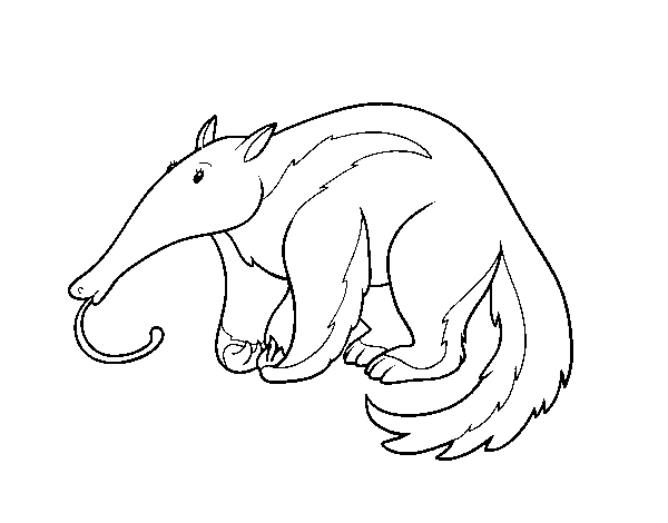 Dibuix de Un ós formiguer per Pintar on-line