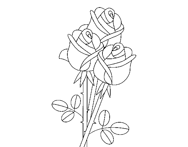 Dibuix de Un ram de roses per Pintar on-line