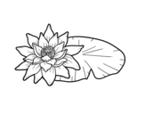 Dibuix de Una flor de lotus per pintar