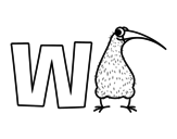 Dibuix de W de Kiwi per pintar