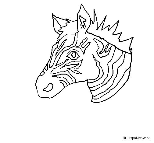 Dibuix de Zebra II per Pintar on-line