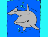 Dibuix Dofí pintat per anna costa