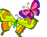 Dibuix Papallones pintat per papallones queralt