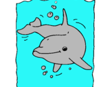 Dibuix Dofí pintat per adrià 