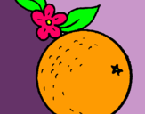 Dibuix taronja pintat per carla loire llongueras