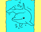 Dibuix Dofí pintat per blanca jofra